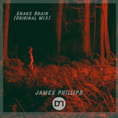 Snake Brain (Original Mix) [DOESN'T MATTER]