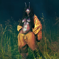 Sza-BMF  Y3LLO Baile funk Remix CorstenX soundEdit