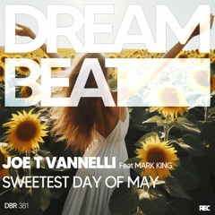 JOE T VANNELLI Feat. Marking - Sweetest Day Of May (Radio Edit)