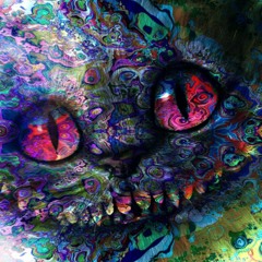 tout le monde est fou