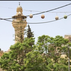 معلومات مش اكيدة - لطيفة