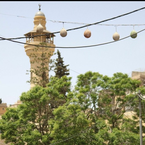 معلومات مش اكيدة - لطيفة