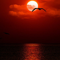 red sea (prod. @fiftyzeros)