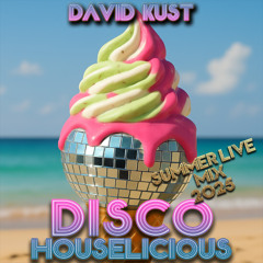 DAVID KUST - DISCOHOUSELICIOUS SUMMER LIVE MIX 2025