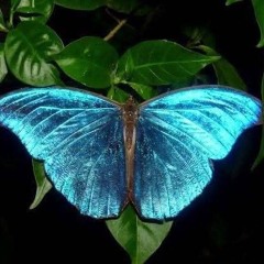 WHATi.A.M¿.! × A.THIS_.it_nnelize.G..wav