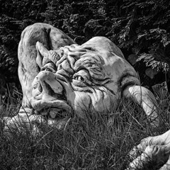 Let's Get Trollin' - Alien Safari & Vortex Parallel Universe - New Year 2021 - 2022