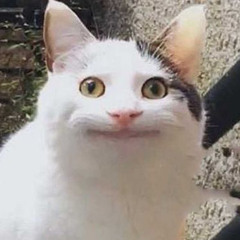 Meme Fart Sound