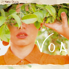 Voa