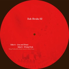 DS002: Dub Shrubs - Live and Direct / Wicked Dub