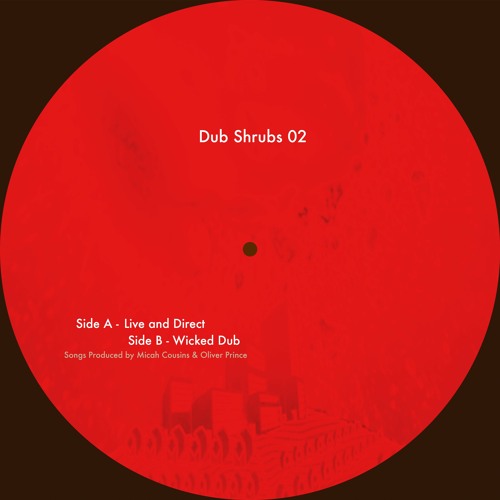 DS002: Dub Shrubs - Live and Direct / Wicked Dub