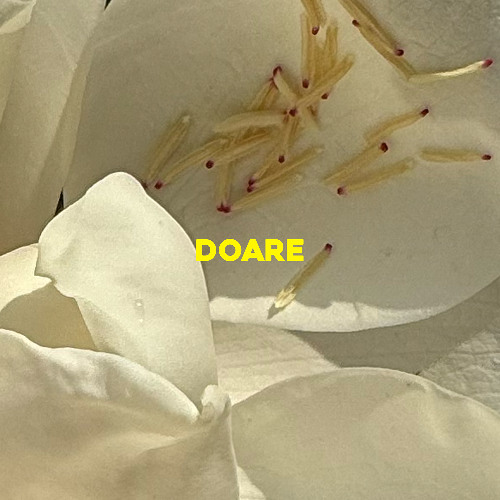 Jechiu Maxim - Doare