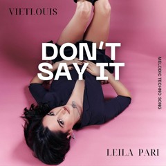 Leila Pari ft vietlouis - Don't Say It