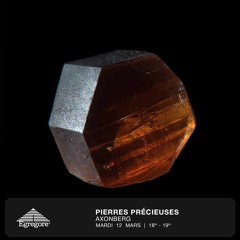 Pierres Précieuses - Axonberg (Mars 2024)
