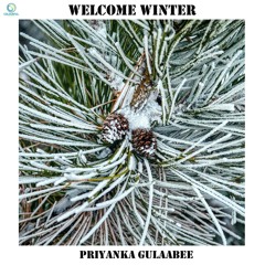 Welcome Winter