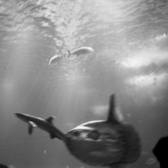 New Haven Holiday Brochure 001