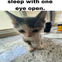 sleep with one eye open