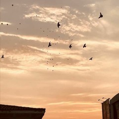 فَاسْتَمْسِكْ بِالَّذِي أُوحِيَ إِلَيْكَ | عبد الرحمـٰن دمشقيَّة