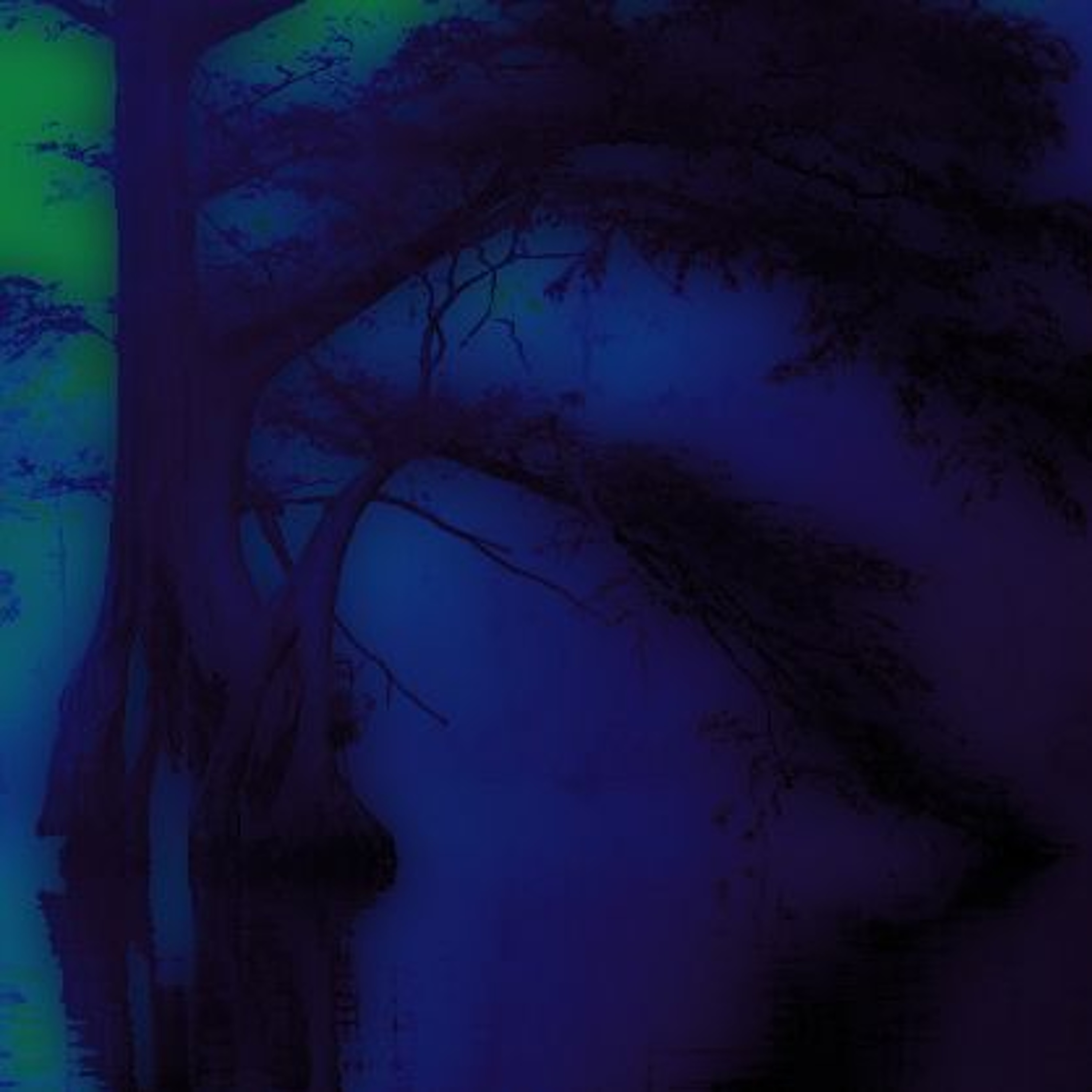 Freaky Forest episode artwork
