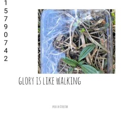 glory is like walking prod. by Director