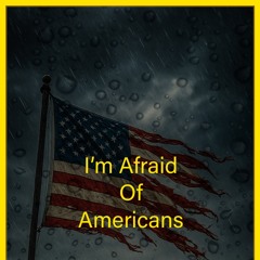 I'm Afraid Of Americans