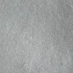 Butterfly Rose IV (Winter 2023)