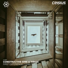 Constructive Sine & T Base - I Can Fly