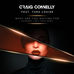 What Are You Waiting For (Will Rees Remix) [feat. Tara Louise]