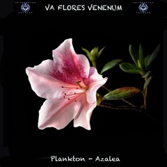 5. Plankton - Azalea (180 BPM) VA Flores Venenum - Metacortex Records