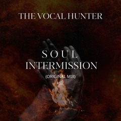 The Vocal Hunter - Soul Intermission (Original Mix)