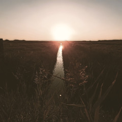 Surface