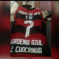 MC PL ALVES - TROPA DA PENHA COME PIRANHA E MATA MANDADO - - DJ PEDRIN