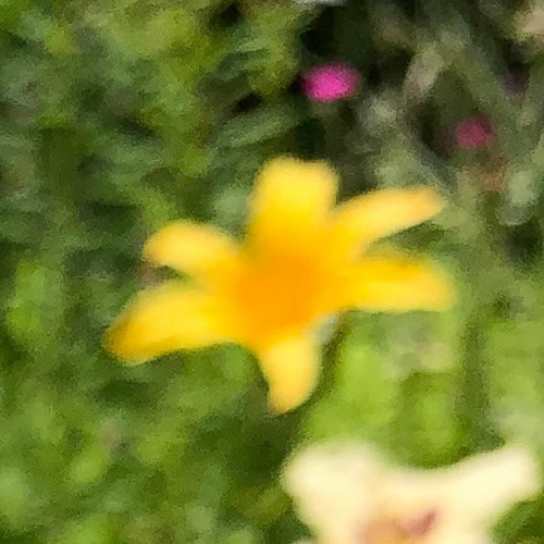 goodwill (prod. oxy & kvma)