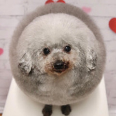 RNDMKAWAIISONG2