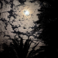 أقل حاجة .. اذا انك غبت أعرف حبيبي وش أخبارك ؟