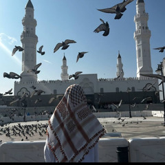 تلاوة نديَّة لسورة المجادِلة " أَحْصَاهُ اللهُ وَ نَسُوهْ… " | قيام رمضان