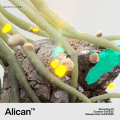 Beautilism Recording with Alican - 14.03.25