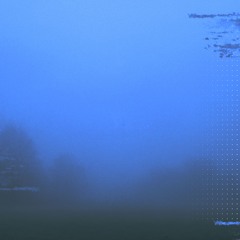 Fog Field