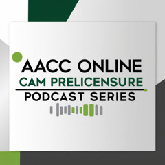 Understanding the Laws