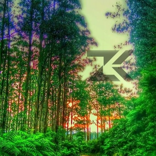 Zolkraft 262 Melodic Prog MiX