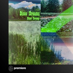 Premiere: Disco Dreams - Ether Swamp