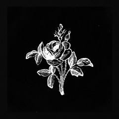Jaded Lullaby