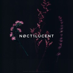 NØCT1LUCENT #02
