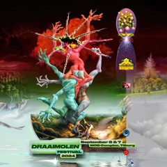 Draaimolen Festival 2024