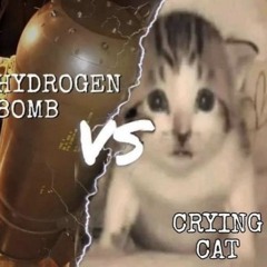 go cat go! - remix