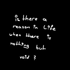 is there a reason in life when there is nothing but void?