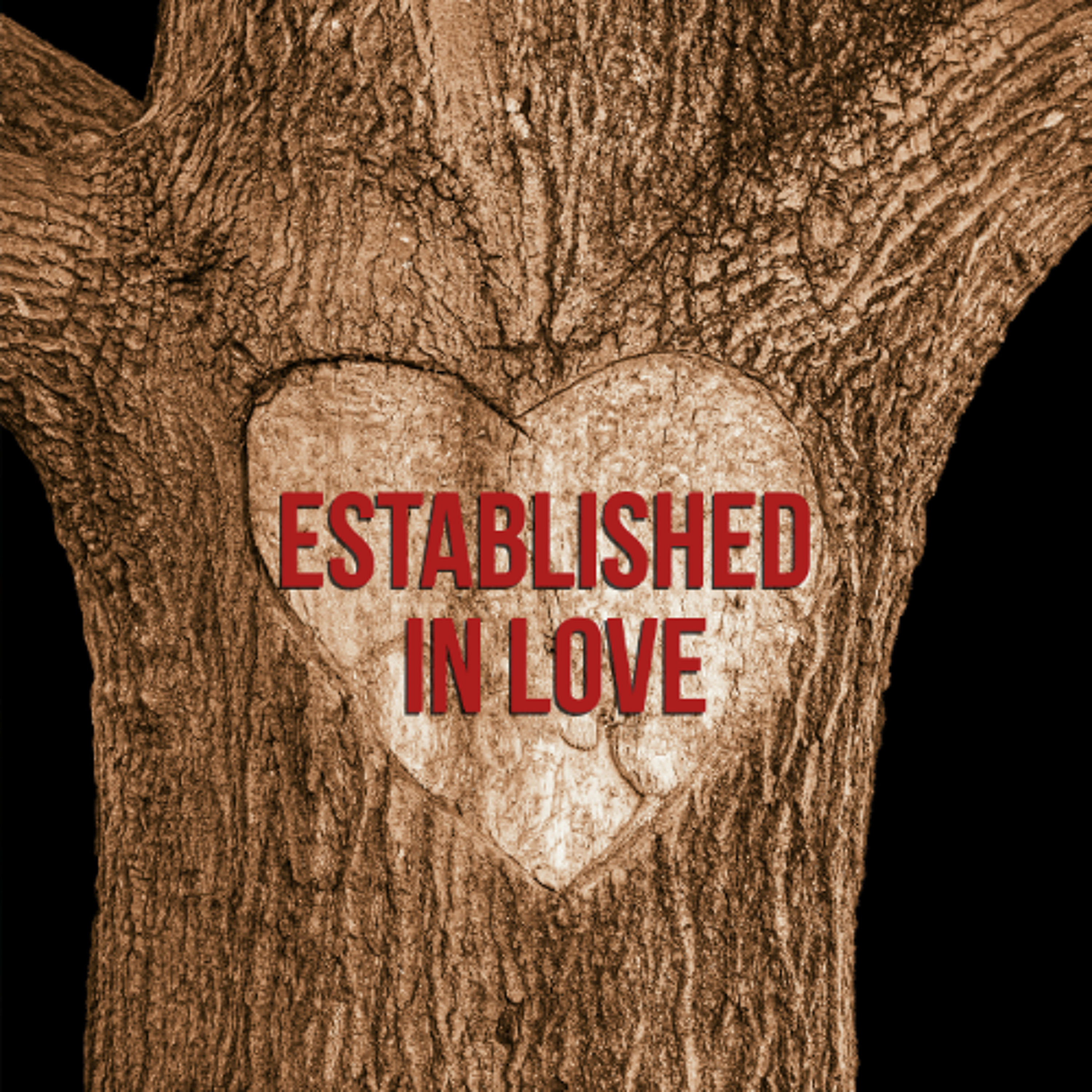Established in Love episode artwork