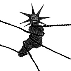 Tuggin On The Ropes (Snippet)