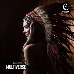 MEIRLIN - Multiverse