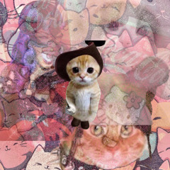 Meow x Meow