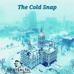 DJ Stealth presents The Cold Snap (House Mix)